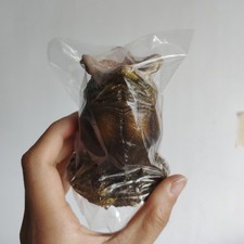 Alien vs. Predator ALIEN EGG