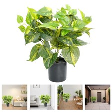 Artificial Golden Vine Fake