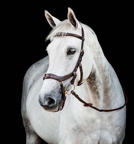 Horseware micklem multi - horseware®, micklem®