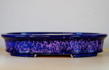 Japanese Bonsai Pot Tokoname