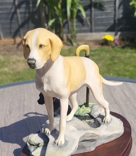 Border fine arts fell hound - fine,