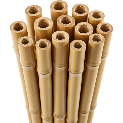 Bamboo garden canes - garden,