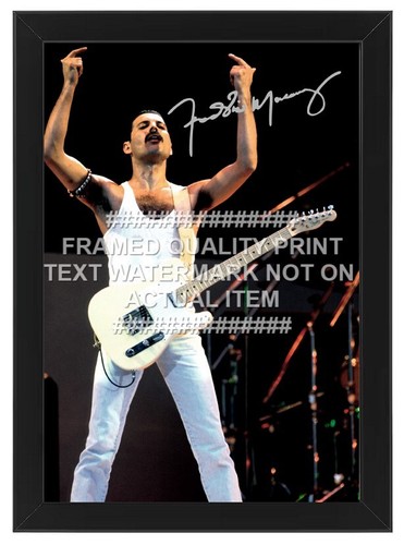 Freddie mercury signed - signed, photo