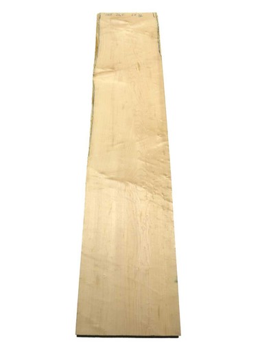 Bird eye maple - 1x,