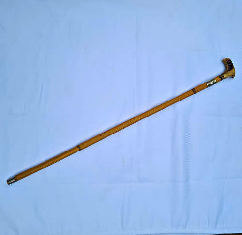 Antique stag horn - antique,