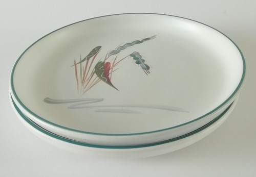 Denby greenwheat tea plates - greenwheat,