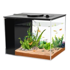 Small Fish Tank, 1 Gallon