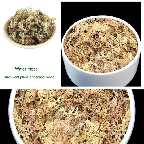 12l dried sphagnum moss - 6/12l,