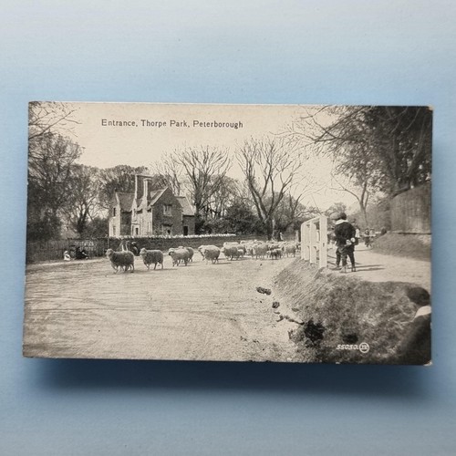 Longthorpe peterborough - longthorpe,