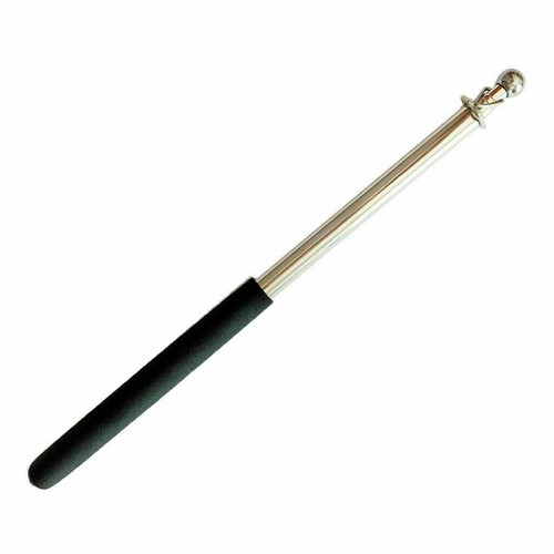 5ft flagpole stainless - stainless, steel