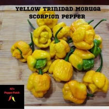 15 Yellow Trinidad Moruga