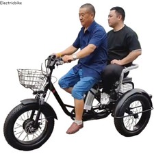 20 inch heavy duty electric cargo tricycle manned 48V electric tricycle E-trike