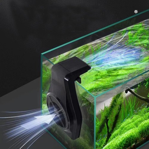 Aquarium fish tank - aquarium,