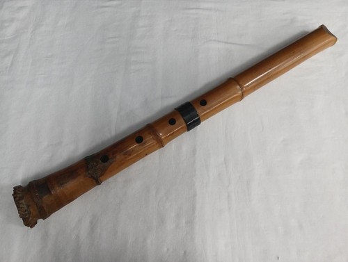 Goodwill junk shakuhachi - junk,