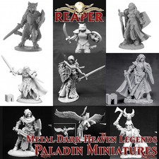 Paladin RPG Miniatures |