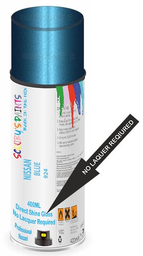 Aerosol spray paint - paint, nissan
