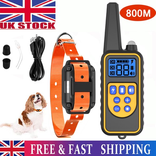 Dog pet training collar - dog,