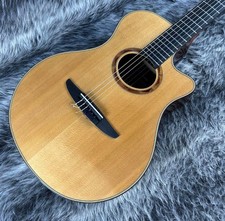 Yamaha NTX1200R Acoustic
