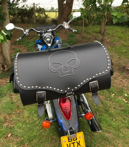 Motorcycle sissy bar - motorcycle, real