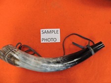 Blowing Bull Horns 16 to 17  Inches Cow Horns STEER LONGHORN horns  Polished