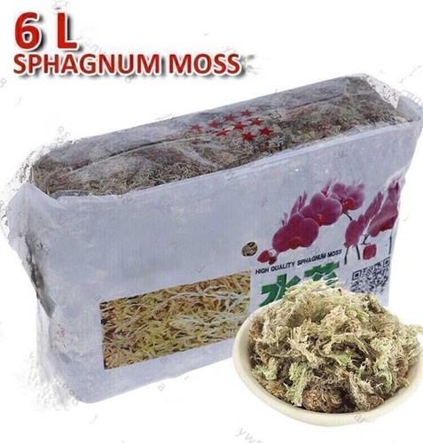 Sphagnum moss 12l organic - moss,