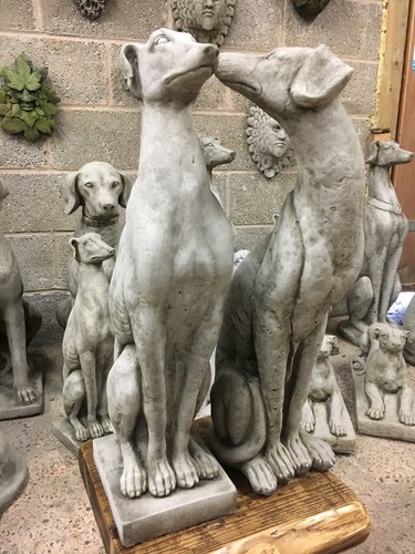 Greyhounds whippet dogs - (new),