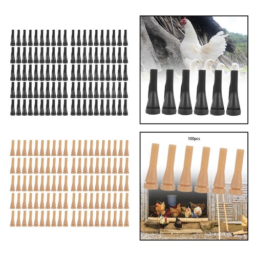 100pcs pet bird - pet,