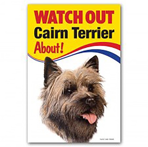Cairn terrier dog - terrier,