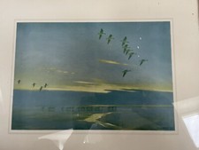Peter Scott Print Whitefronts On Flood Water 1940 Landscape Ornithology Nature