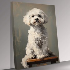 Bichon Frise Portrait Canvas