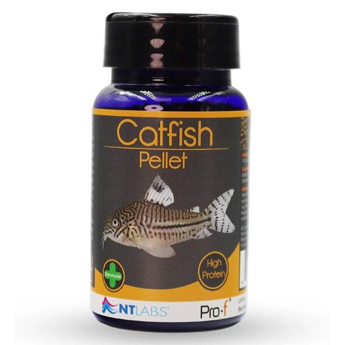 Labs pro catfish pellet - labs,