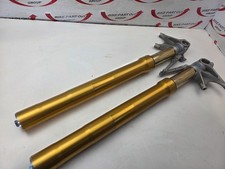 Front forks Ohlins Ducati Monster 1200 S 14-21 34520613A 34420613A