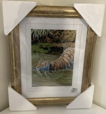 Stephen Gayford Tiger Print