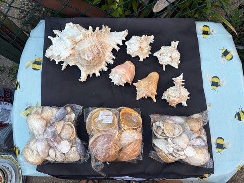 Large selection assorted - large,