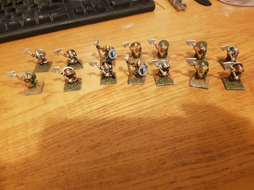 14x unbranded dwarf warriors - 14x,
