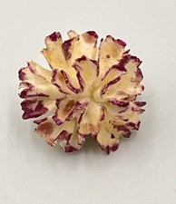 Vintage China Brooch Pink