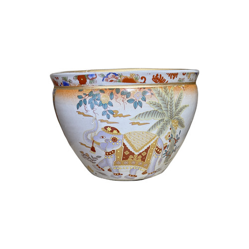 Oriental elephant palm - 8"d,