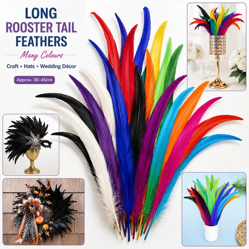 Long rooster tail feathers - long,