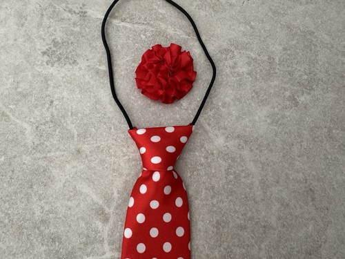 Equestrian show tie - equestrian,