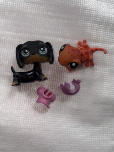 Littlest pet shop - shop, pairs