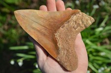 A18,   MASSIVE!   6.15"-6.2 "