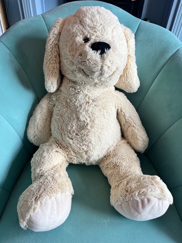 Tesco golden retriever 2010 - 10,