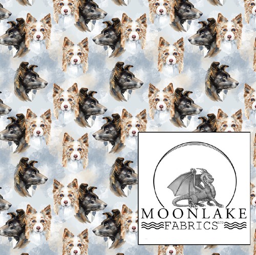 Dogs border collie - dogs, heads