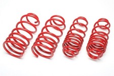 Ta technix Lowering Springs