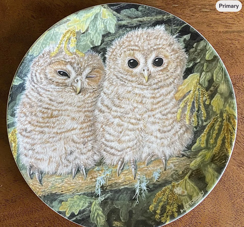 Wedgwood bone china - bone,