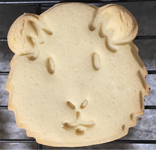 Guinea pig cookie pastry - pig,