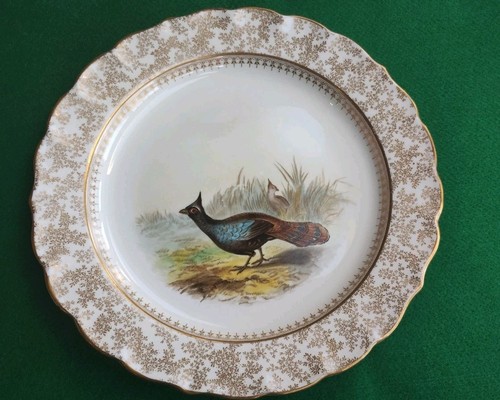 Antique royal worcester - royal,