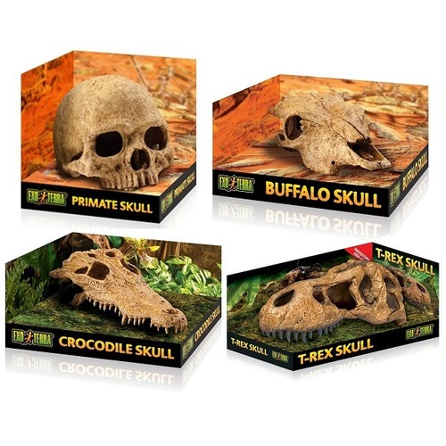 Exo terra crocodile buffalo - exo,