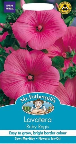 Fothergills pictorial - mr,