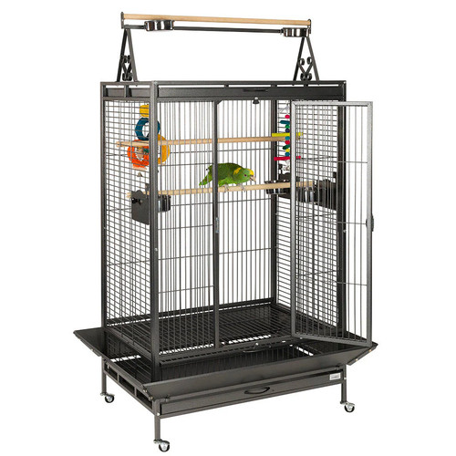 Antique cambridge parrot - antique, cage